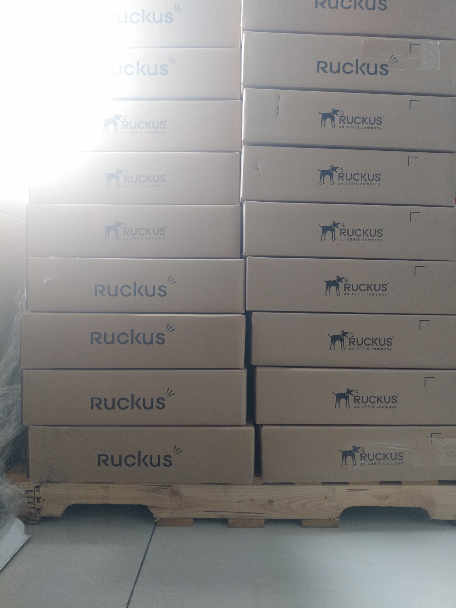 Original New Ruckus ICX 7250 48-Port Switch with 1 GBE Uplinks ICX7250-48