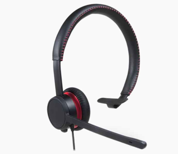 Avaya Headsets L100 Series L119 Professional-grade Headsets With Unique